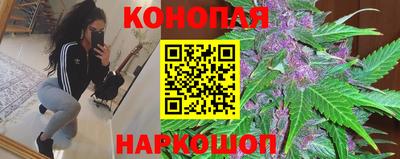 гидра Кандалакша