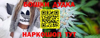 МДПВ Канаш