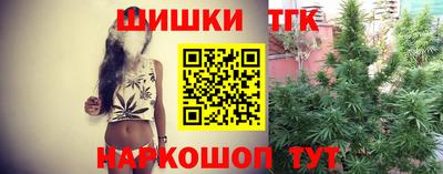 гидра Кандалакша