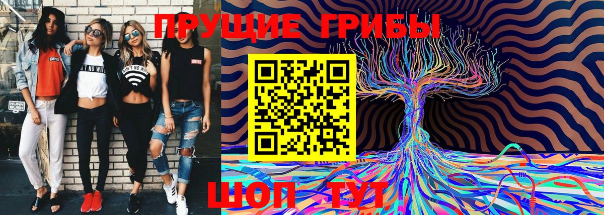 Псилоцибиновые грибы Psilocybine cubensis  Вход с VPN  Чебоксары 